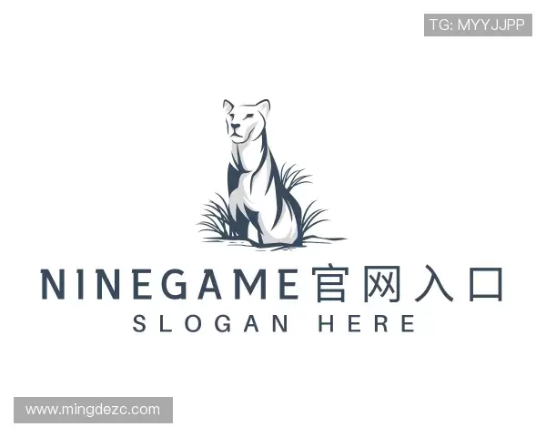 介绍ninegame官网入口